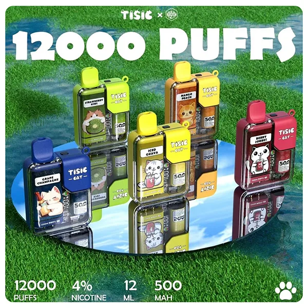 20250605063030 684139865cfb6